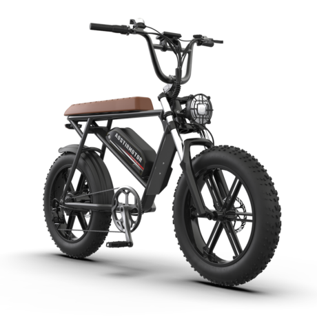 Aostirmotor Storm 750W 48V Fat Tire Electric Bike