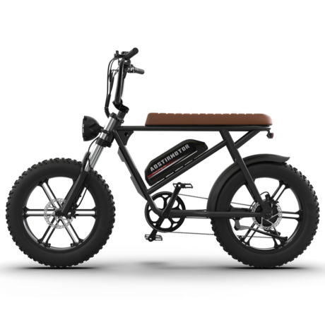 Aostirmotor Storm 750W 48V Fat Tire Electric Bike