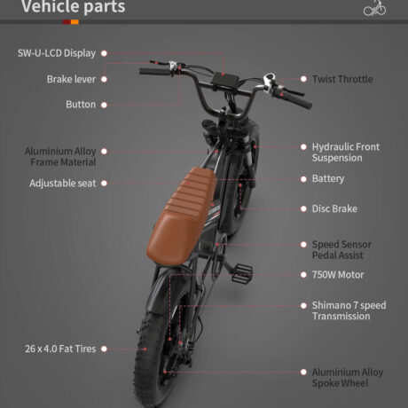 Aostirmotor Storm 750W 48V Fat Tire Electric Bike