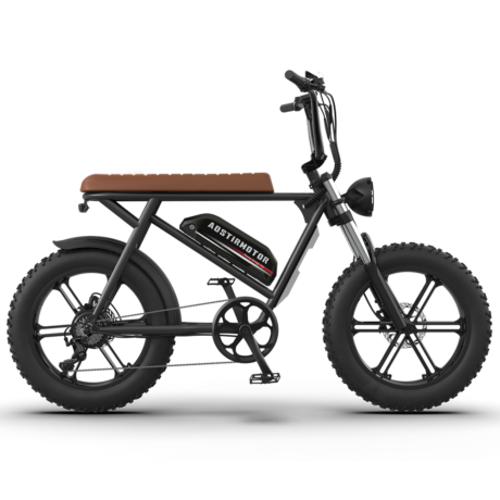 Aostirmotor Storm 750W 48V Fat Tire Electric Bike