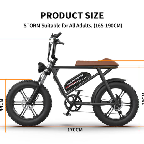 Aostirmotor Storm 750W 48V Fat Tire Electric Bike