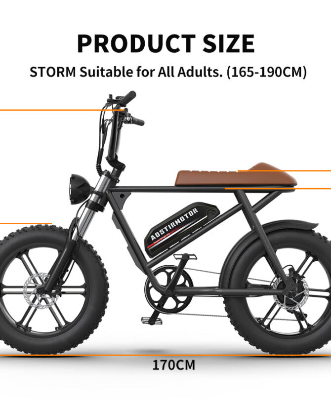 Aostirmotor Storm 750W 48V Fat Tire Electric Bike