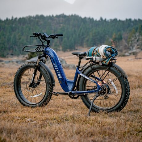 Aventure.2 Step-Through Ebike