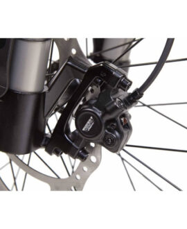 Bikonit Warthog HD 750 48V/15Ah 750W All Terrain Fat Tire Electric Bike