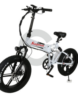 Chartior Surpmax 48V/10.2Ah 500W Folding Electric Bike