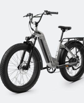 Ranger Step-Thru 2.0 Electric Bike