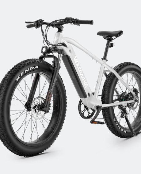 Ranger Fat Tire Electric Bike