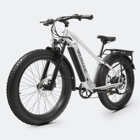 Ranger 2.0 Fat Tire All-Terrain Electric Bike