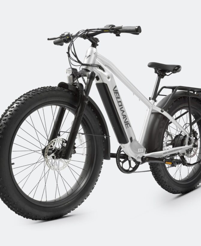 Ranger 2.0 Fat Tire All-Terrain Electric Bike