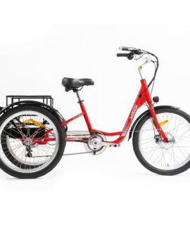 DWMEIGI Hera Urban 36V/13Ah 350W Electric Trike