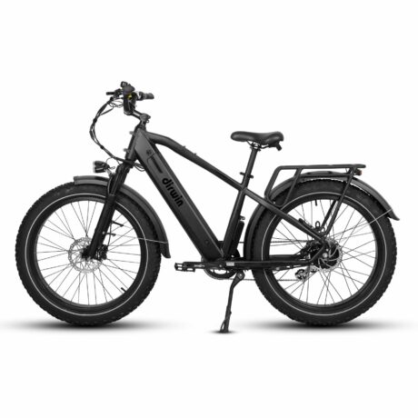 Dirwin Pioneer 48V/15Ah 750W Fat Tire Electric Bike