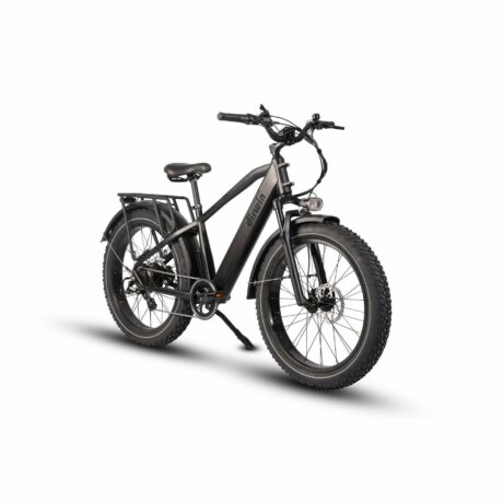 Dirwin Pioneer 48V/15Ah 750W Fat Tire Electric Bike