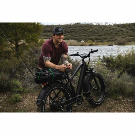 Dirwin Pioneer 48V/15Ah 750W Fat Tire Electric Bike