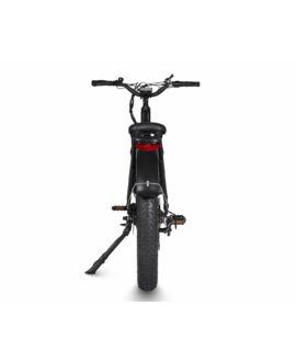 Dirwin Seeker 48V/16Ah 750W Fat Tire Electric Bike