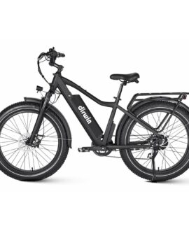 Dirwin Seeker 48V/16Ah 750W Fat Tire Electric Bike