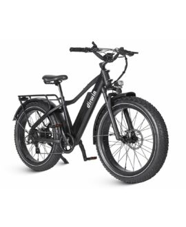 Dirwin Seeker 48V/16Ah 750W Fat Tire Electric Bike