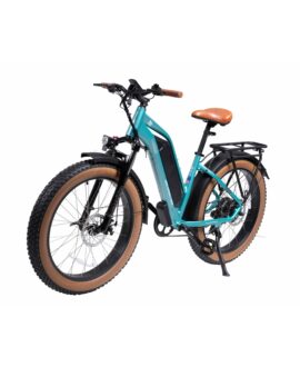 DWMEIGI Artemis 48V/16Ah 750W Fat Tire Electric Bike