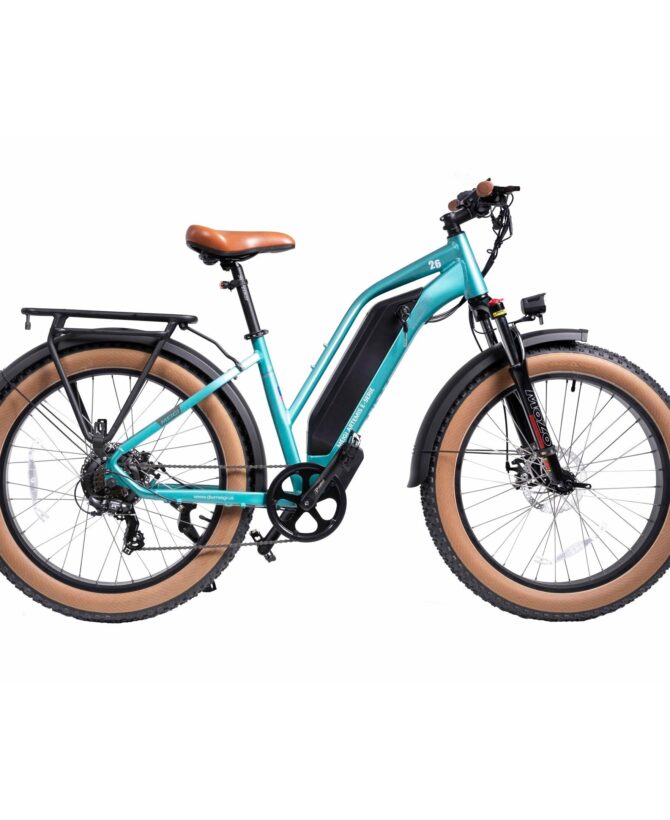 DWMEIGI Artemis 48V/16Ah 750W Fat Tire Electric Bike