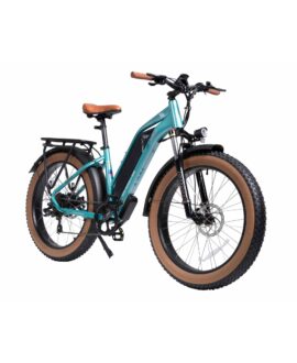 DWMEIGI Artemis 48V/16Ah 750W Fat Tire Electric Bike