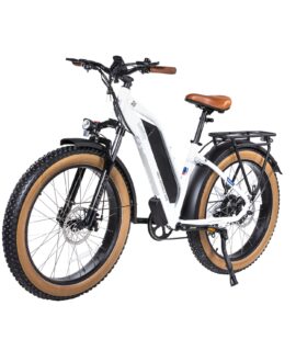 DWMEIGI Artemis 48V/16Ah 750W Fat Tire Electric Bike