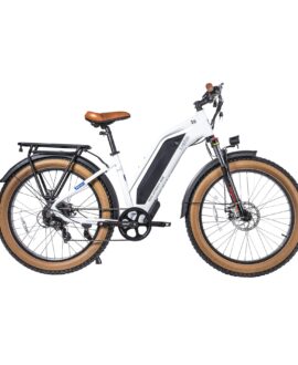 DWMEIGI Artemis 48V/16Ah 750W Fat Tire Electric Bike