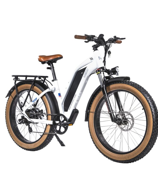 DWMEIGI Artemis 48V/16Ah 750W Fat Tire Electric Bike