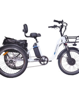 DWMEIGI BLAZER 48V/16AH 500W Full Suspension Electric Trike