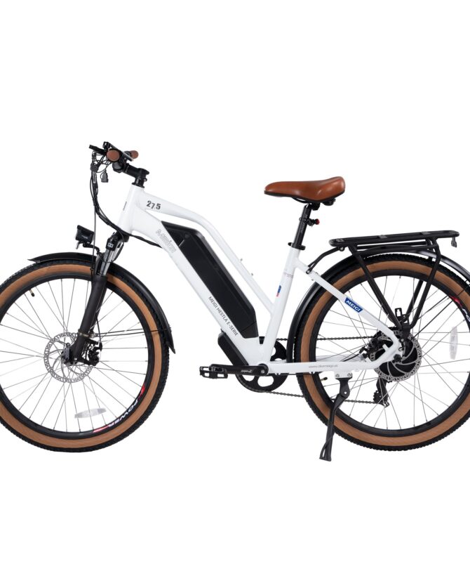 DWMEIGI Hestia 48V/13Ah 750W Step-Thru Electric Commuter Bike