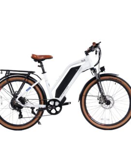 DWMEIGI Hestia 48V/13Ah 750W Step-Thru Electric Commuter Bike