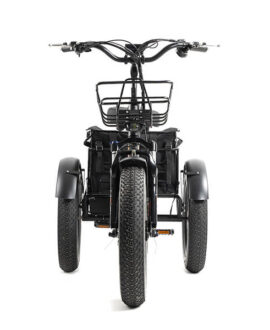 DWMEIGI Zeus 48V/18.2Ah 750W Fat Tire Electric Trike