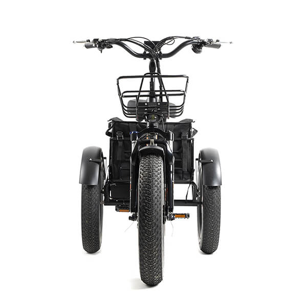 DWMEIGI Zeus 48V/18.2Ah 750W Fat Tire Electric Trike