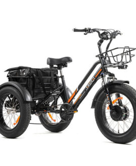 DWMEIGI Zeus 48V/18.2Ah 750W Fat Tire Electric Trike