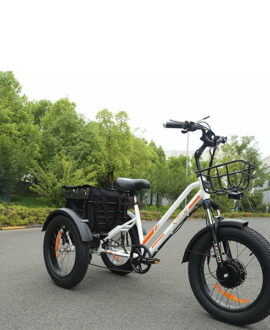 DWMEIGI Zeus 48V/18.2Ah 750W Fat Tire Electric Trike