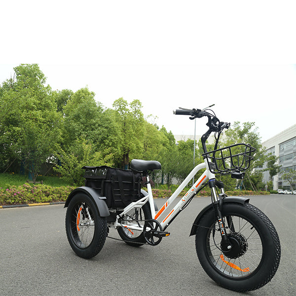 DWMEIGI Zeus 48V/18.2Ah 750W Fat Tire Electric Trike