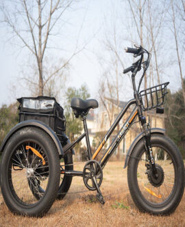 DWMEIGI Zeus 48V/18.2Ah 750W Fat Tire Electric Trike