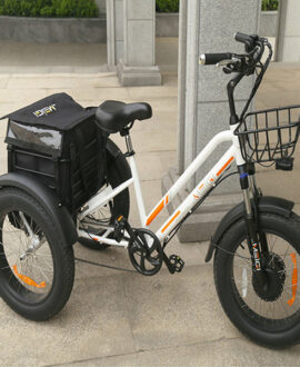 DWMEIGI Zeus 48V/18.2Ah 750W Fat Tire Electric Trike