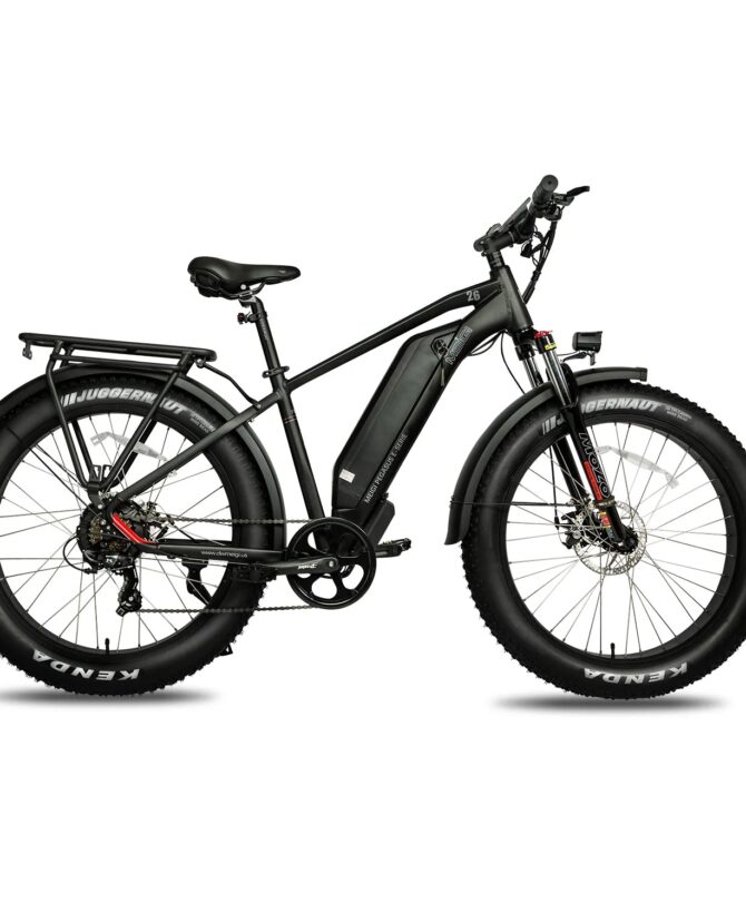 DWMEIGI Pegasus 48V/16Ah 750W Fat Tire Electric Bike