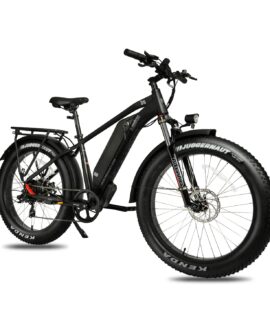 DWMEIGI Pegasus 48V/16Ah 750W Fat Tire Electric Bike