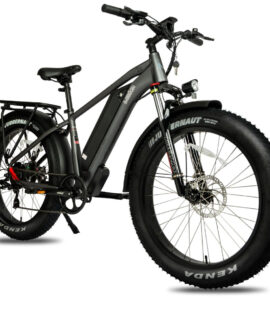 DWMEIGI Pegasus 48V/16Ah 750W Fat Tire Electric Bike