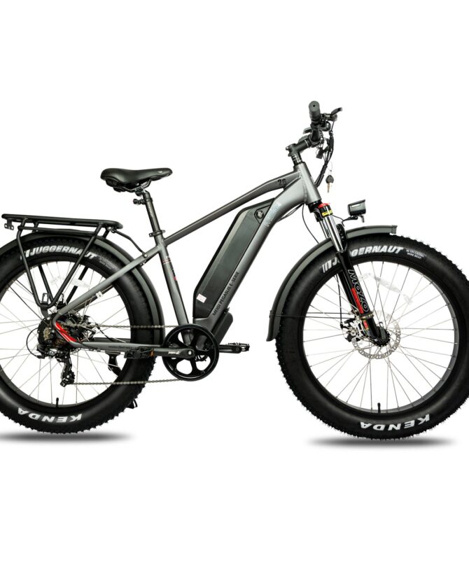 DWMEIGI Pegasus 48V/16Ah 750W Fat Tire Electric Bike