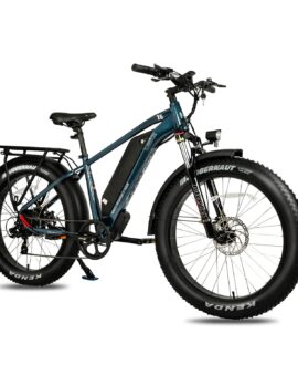 DWMEIGI Pegasus 48V/16Ah 750W Fat Tire Electric Bike