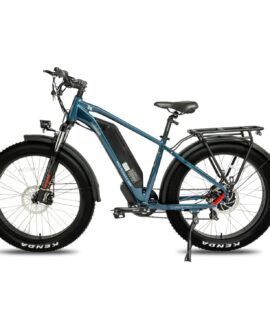 DWMEIGI Pegasus 48V/16Ah 750W Fat Tire Electric Bike