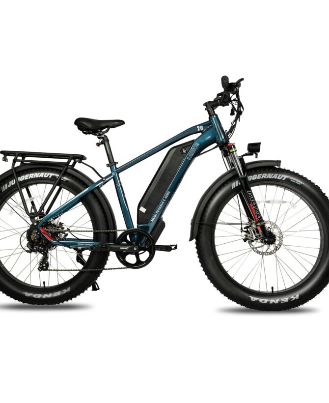 DWMEIGI Pegasus 48V/16Ah 750W Fat Tire Electric Bike