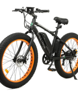 Ecotric Cheetah 26 Fat Tire Beach Snow Electric Bike