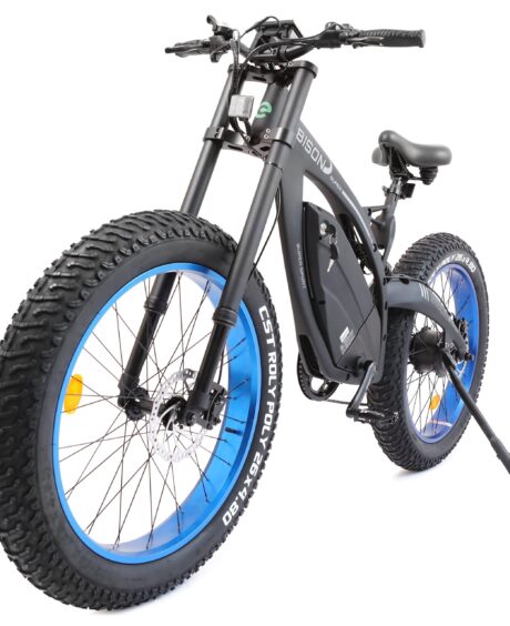 Ecotric Bison 48V/17.6Ah 1000W Big Fat Tire Electric Bike