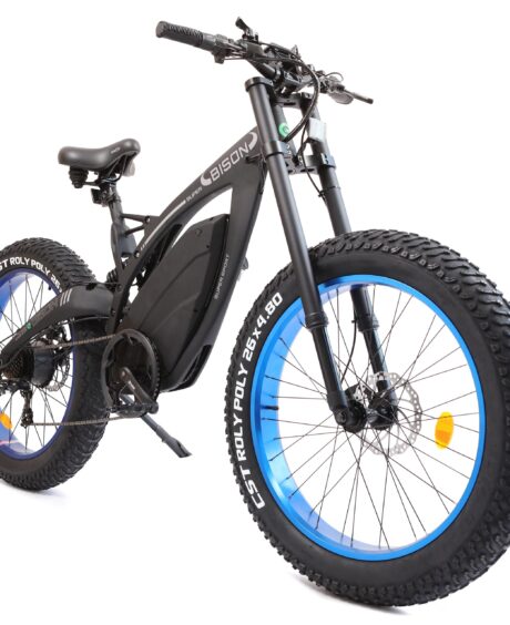 Ecotric Bison 48V/17.6Ah 1000W Big Fat Tire Electric Bike