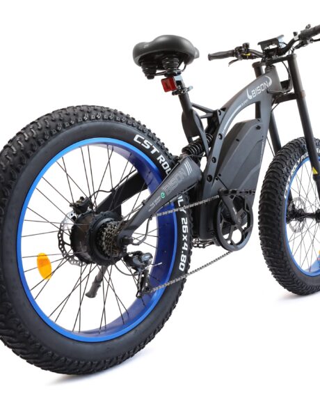 Ecotric Bison 48V/17.6Ah 1000W Big Fat Tire Electric Bike