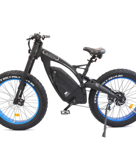 Ecotric Bison 48V/17.6Ah 1000W Big Fat Tire Electric Bike