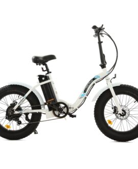 Ecotric Dolphin 36V/12.5Ah 500W UL Certified Folding Fat Tire Electric Bike