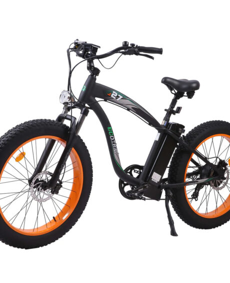 Ecotric Hammer 48V 750W UL Certified Beach Snow Fat Tire Electric Bike